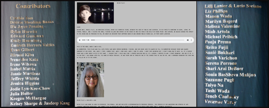 The names of the contributors in mirror vinyl on blue fabric and a screenshot of a contribution from the website